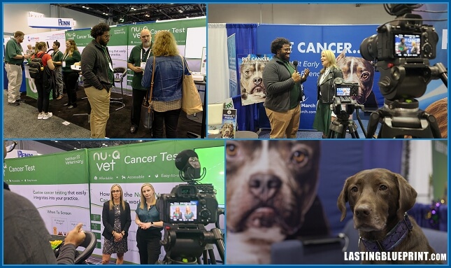 Collage of people and dogs at veterinary conference booth.